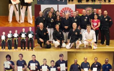 Kobudo Gürtelprüfung – Der ultimative Leitfaden für deinen Weg